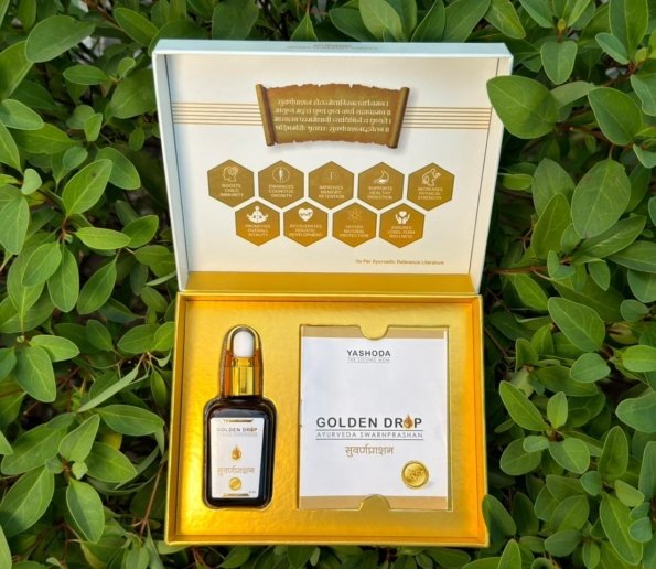 WhatsApp Image 2025 12 12 at 16.06.21_a2f9dffd 1 595x516